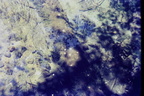 IMAG0009